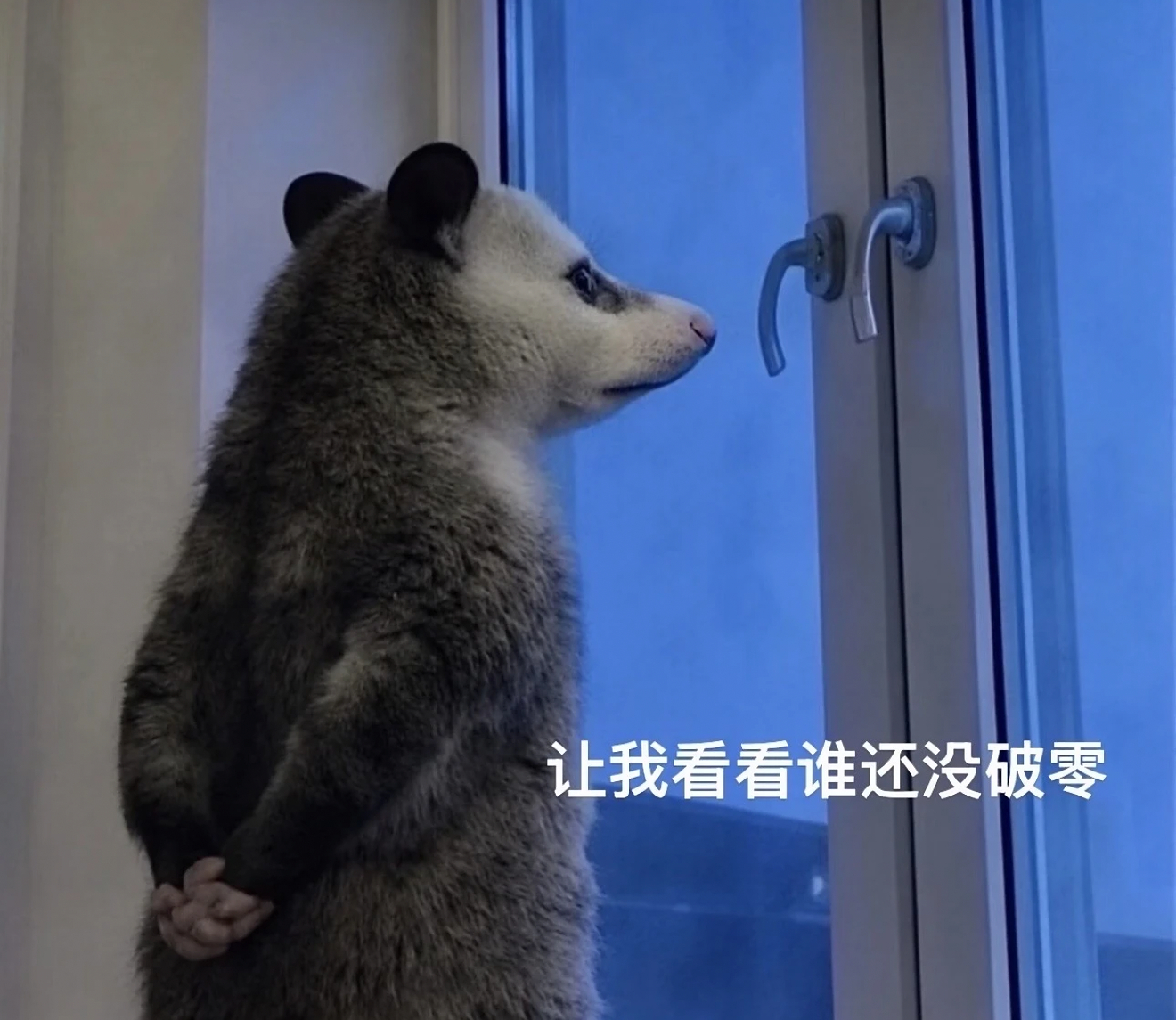 行长的粉丝互动🧧继续继续，2026年7月份第1名，60元现金红包2-3名，每人