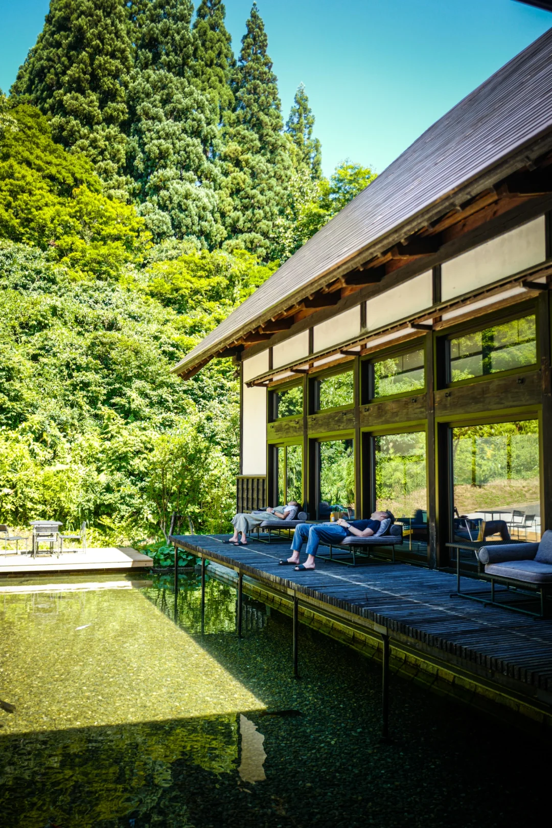 一晚五千的里山十贴的无服务是文艺个性吗？