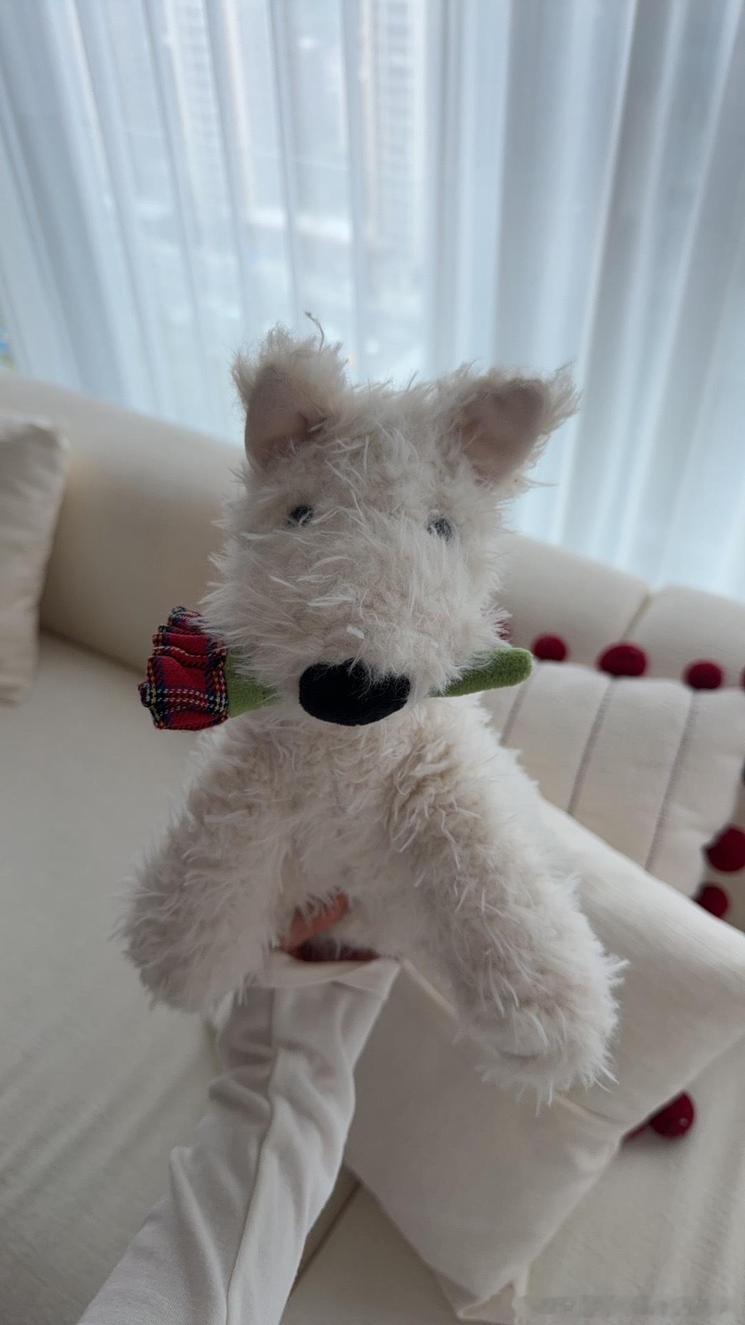 朋友知道我超爱西高地之后 给了我一个西高地玩偶 假装我家也有一只[摊手] ​​​