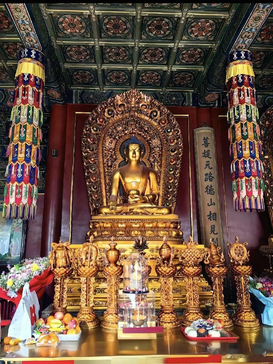 雍和宫最护佑安康的药师佛，很多人来拜都拜错重点
 
在北京雍和宫永佑殿，这尊鎏金