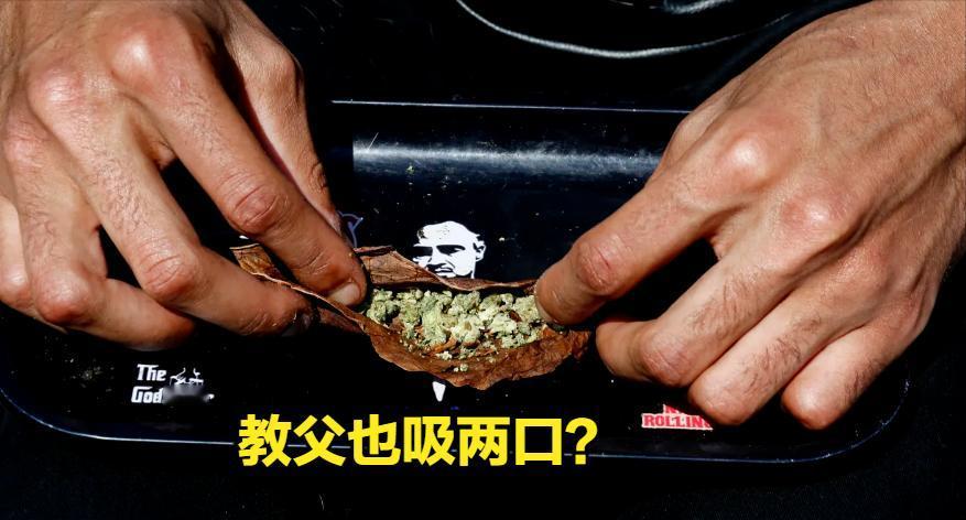 特朗普效应，美国大麻股票反弹！
CBD（大麻二酚），是从大麻植物中提取的一种化合