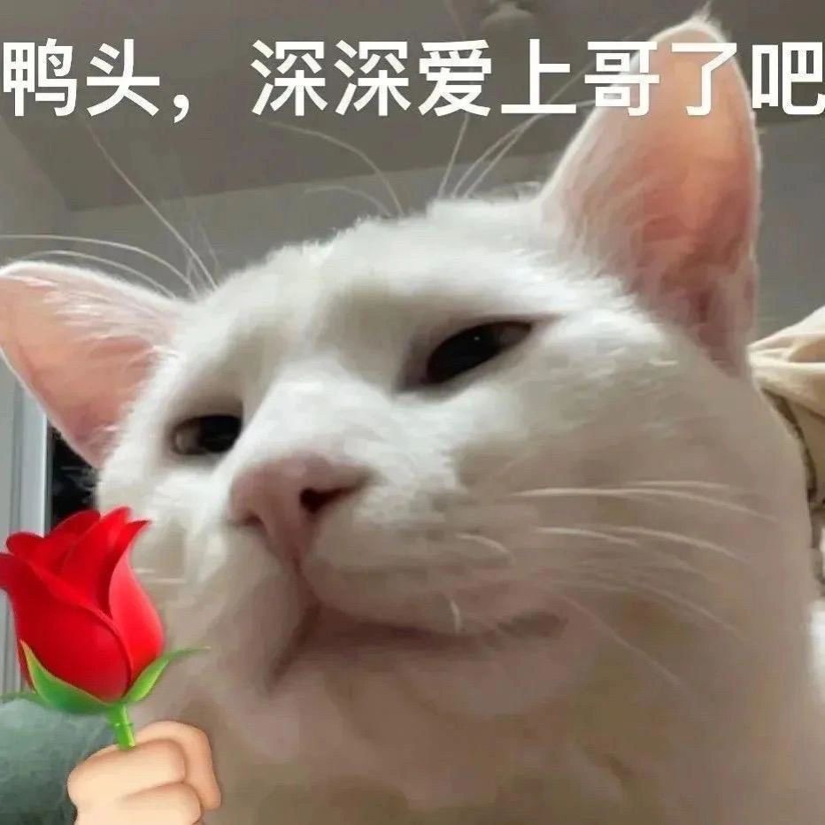 “欢迎回德甲，我的小汉堡🍔。” ​​​