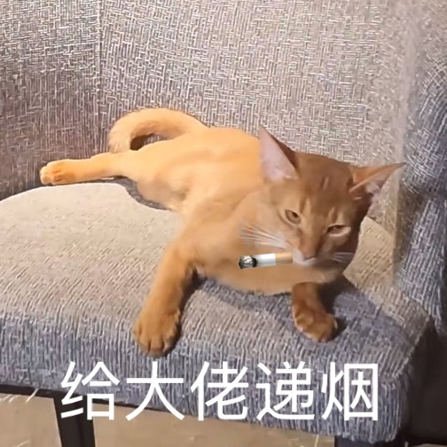 照例手搓一组低脂表情包大鱼小十一表情包第一弹：网页链接大鱼小十一表情包第二弹：网