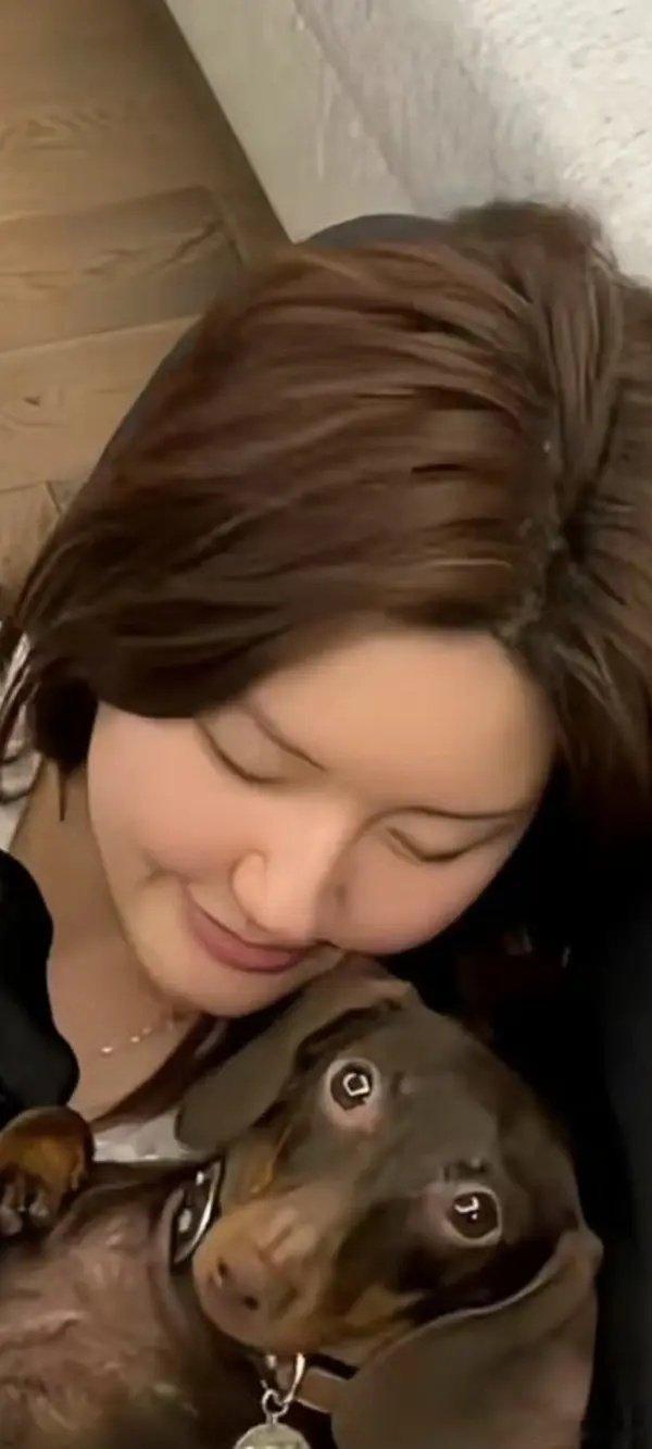 看狗识人 ​​​