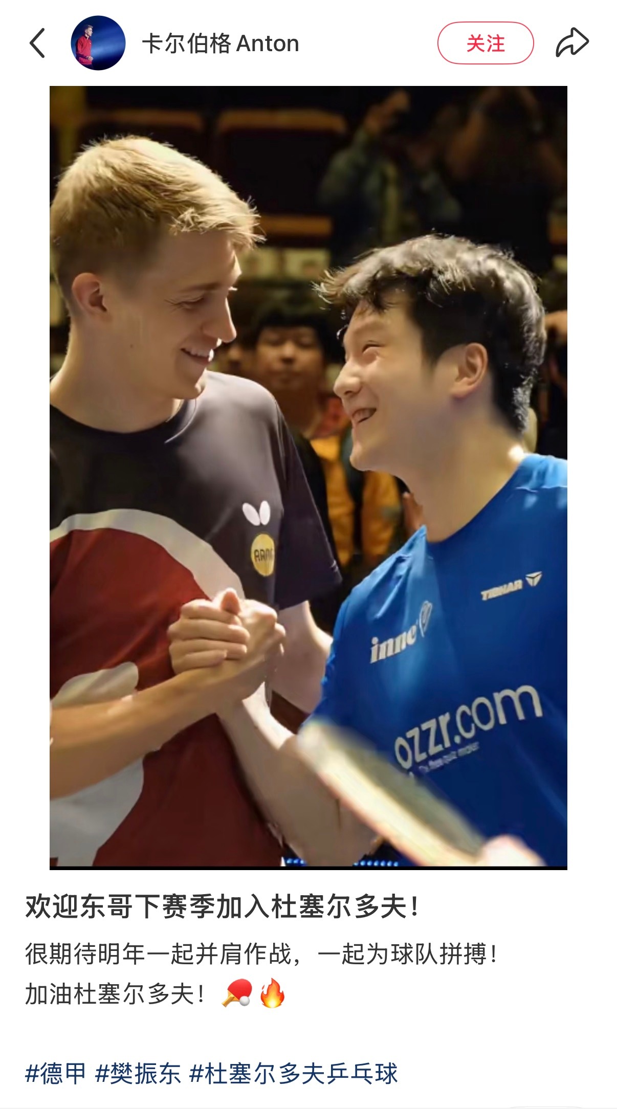 樊振东下赛季加盟杜塞尔多夫 安东这欢迎图配的