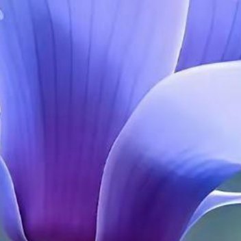 正能量真正把自己活好，是一种内心的状态：清楚自己想要什么，明白自己在做什么，做事