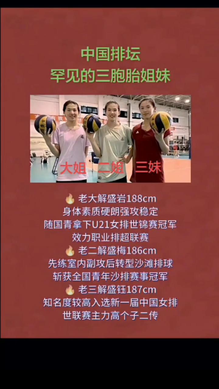 中国排坛罕见的三胞胎姐妹。
·老大解盛岩188cm，身体素质硬朗，强攻稳定，随国
