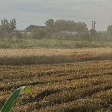 哲思呓语 允许一切发生，是一个人顶级的人生智慧。心态好了，生活就顺了，心宽了，烦