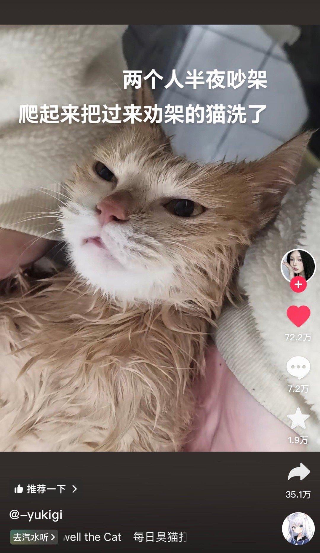 猫：？从今往后这个家我不会再说一句话 ​ ​​​