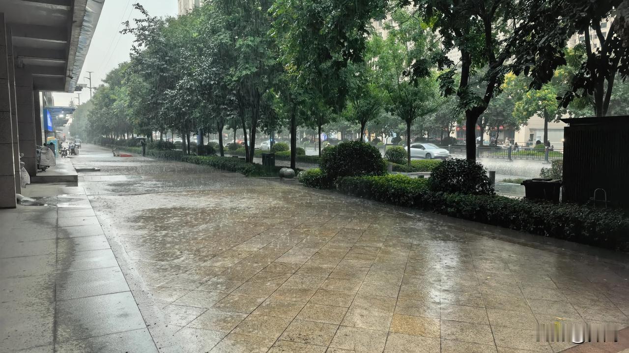 【七律·骤雨敲窗】
骤雨敲窗暑气消，
疾风卷柳万丝条。
墙外徐徐铺细浪，
院中点