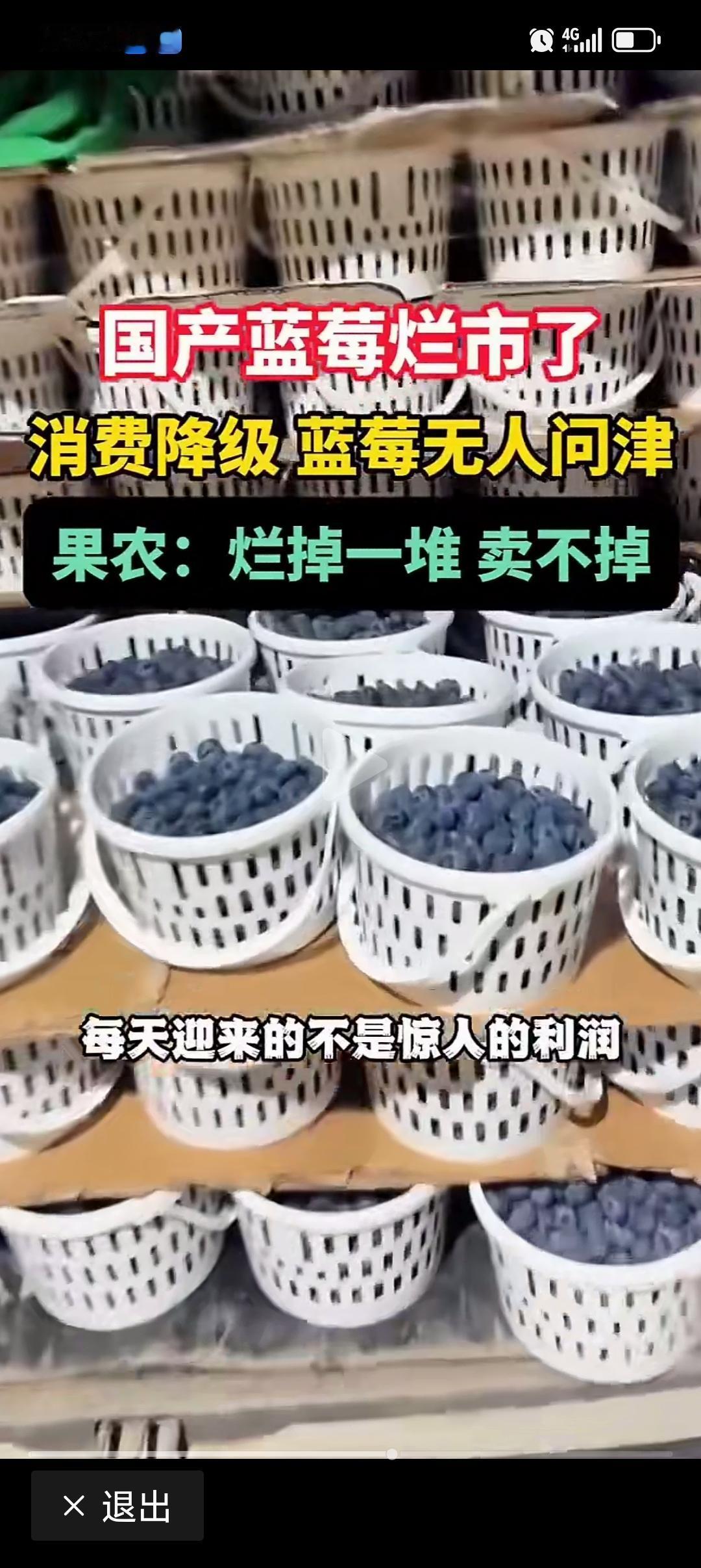 我很喜欢吃，但市场上卖得太贵了，一小把就要将近十块钱。哪怕一斤卖十块钱买的人也会