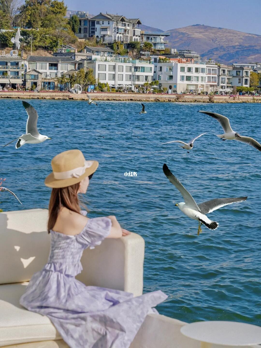 第一次来大理❗️收藏这份保姆级别游玩攻略‼️