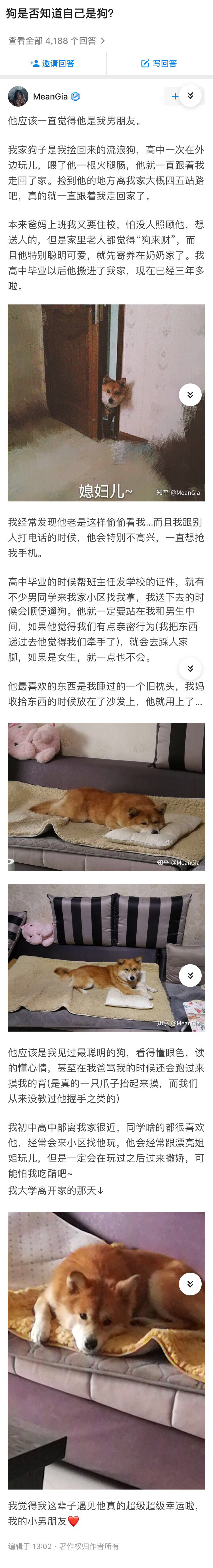 狗知道自己是狗吗 ​​​