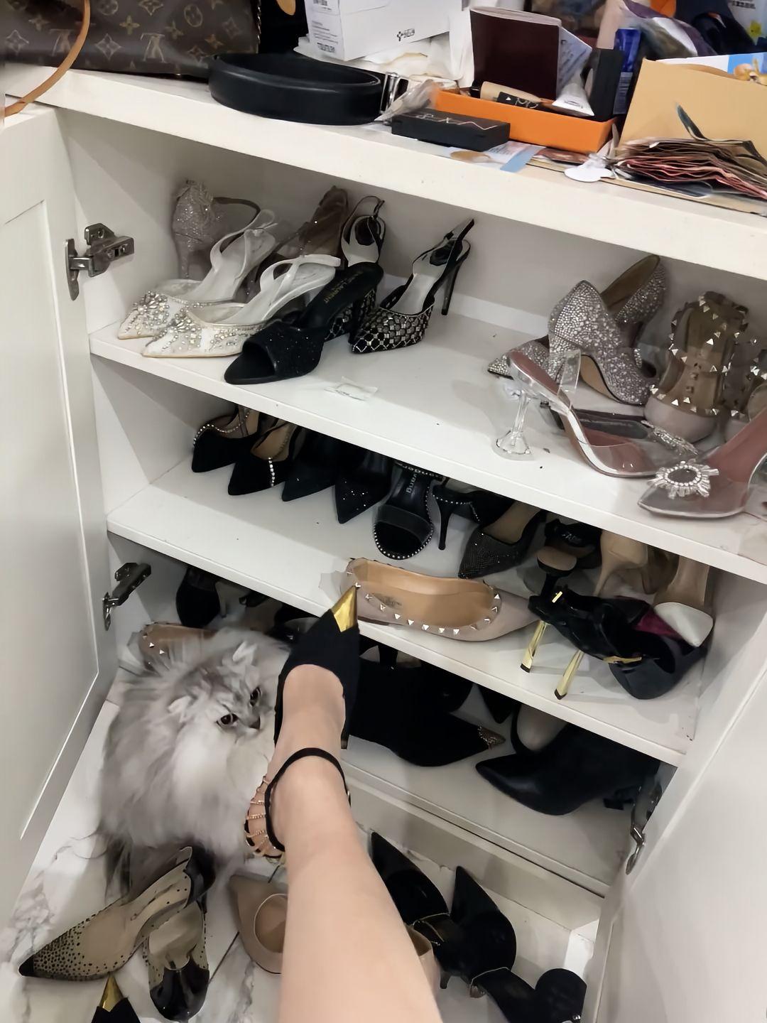 鞋柜里藏着的不止是高跟鞋，还有一只偷偷躲懒的小毛球，这小家伙也太会找地方了吧～