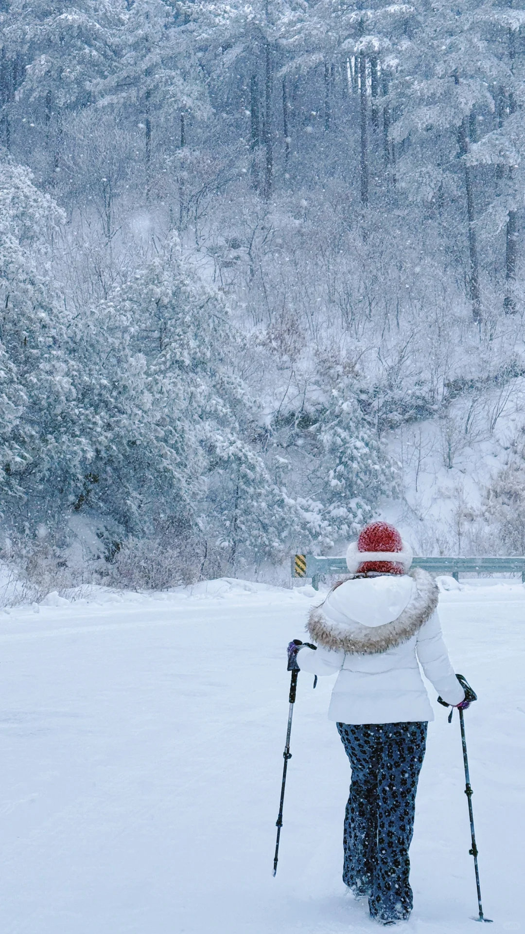 记太子尖雪露🏕️