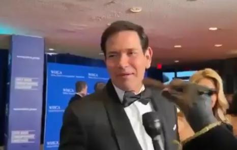 【😂 侮辱喜剧狗凯旋对马可·卢比奥说：“怎么了，部长先生？怕一条小狗吗？告诉我