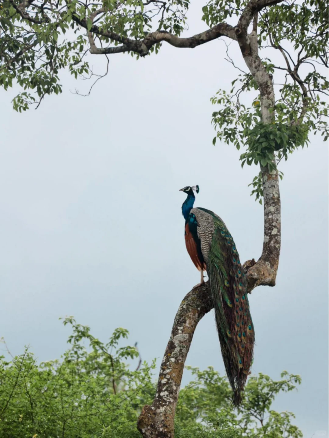 拿起相机📷用镜头讲述生态多样性之美🌍
