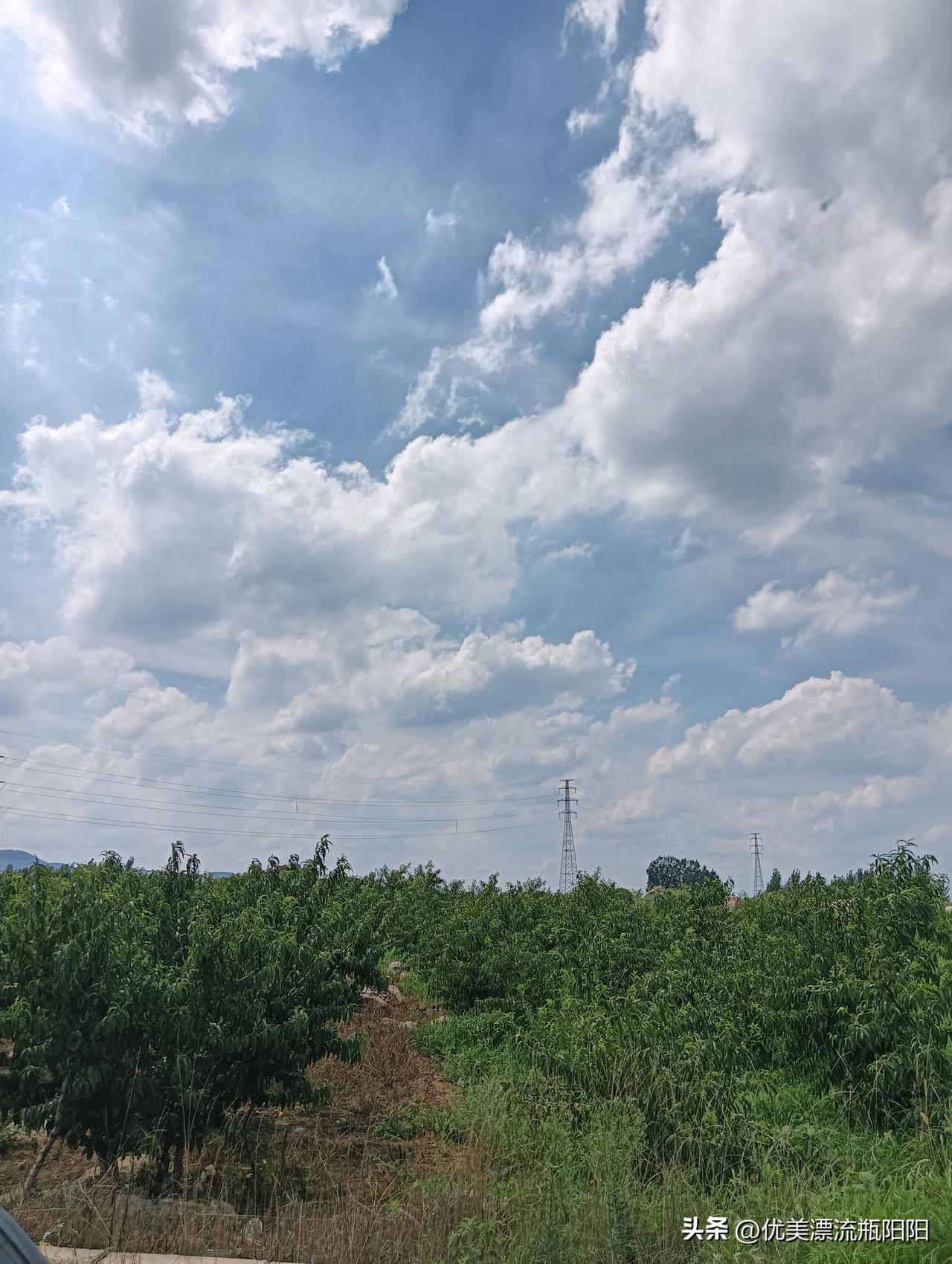蓝天白云下的田园风光，宁静而美好。
