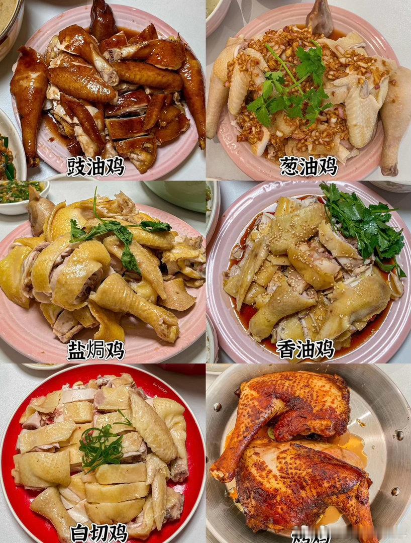 广东白切鸡上综艺又被淘汰只能说我们广东白切鸡真的是太惨了啊😭上了这么多次综艺依