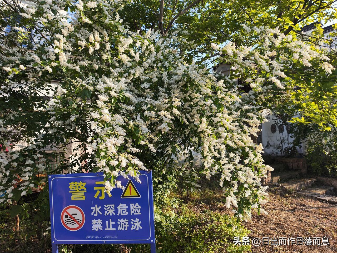 哈哈哈多多益善
太赞了吧
谁不想多一点公积金余额新政 公积金收入标准