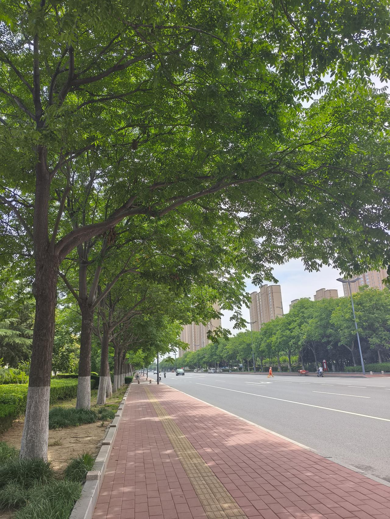 经济发展了，生活方便了，交通便利了，吃饭随意了，自己的事情不需要别人帮忙了。不愿