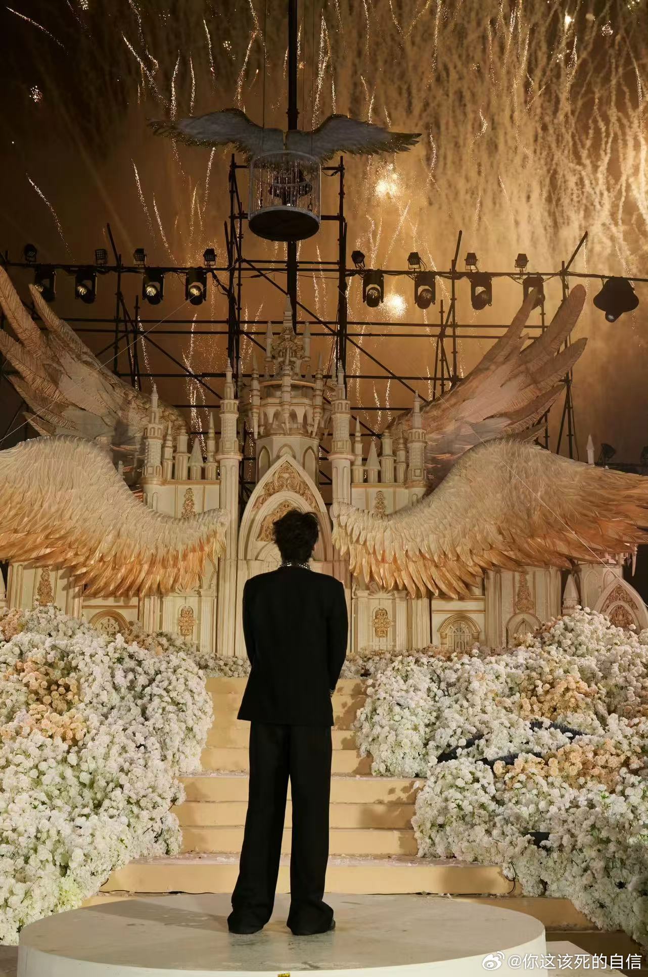 田栩宁花海环绕田栩宁羽落金光田栩宁花海环绕，羽落金光。 