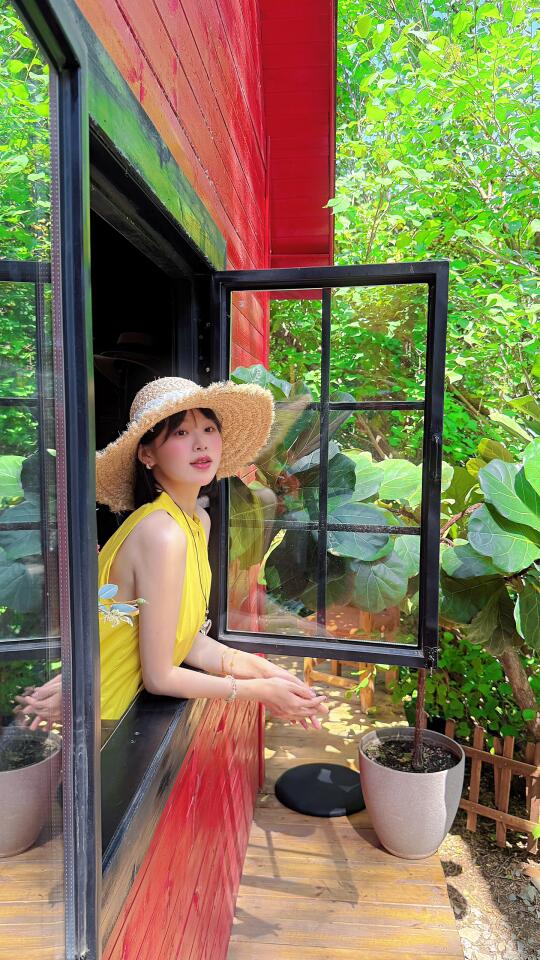 童话里的绿色窗口