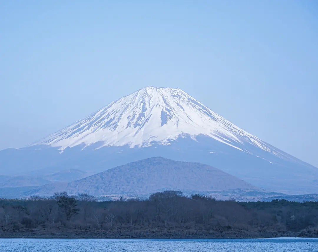 #日本防卫大臣岸信夫参拜靖国神社#点赞接龙助力富士山撅醒👍#转发接龙开新年# 