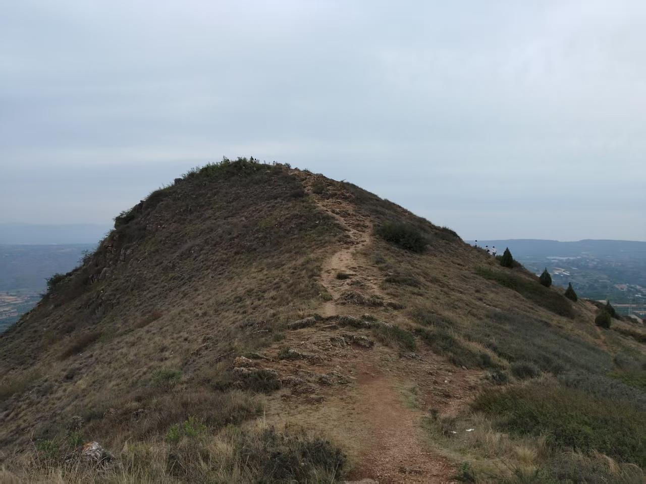 记者:     总统先生，你不是给老泰打电话调停泰柬冲突了吗？

懂王:    