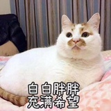 水旺吹随拍