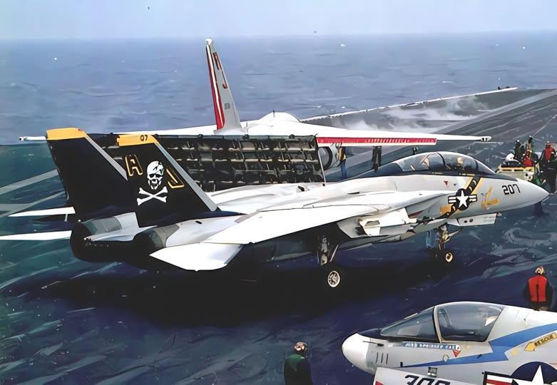 猫宁。等待出击的海盗旗中队旗下F-14大猫 ​​​