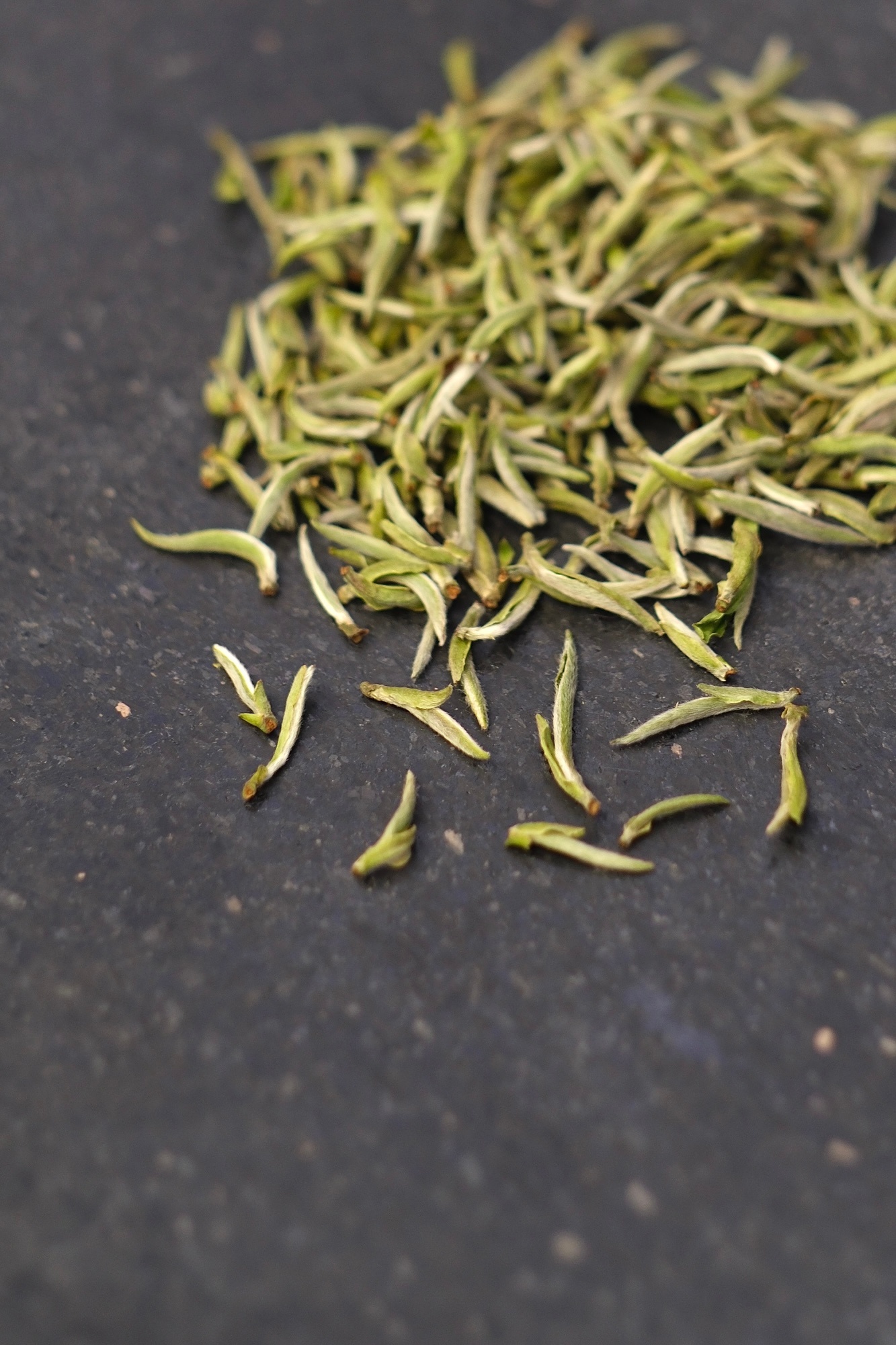茶有余温，人有余念。 福鼎