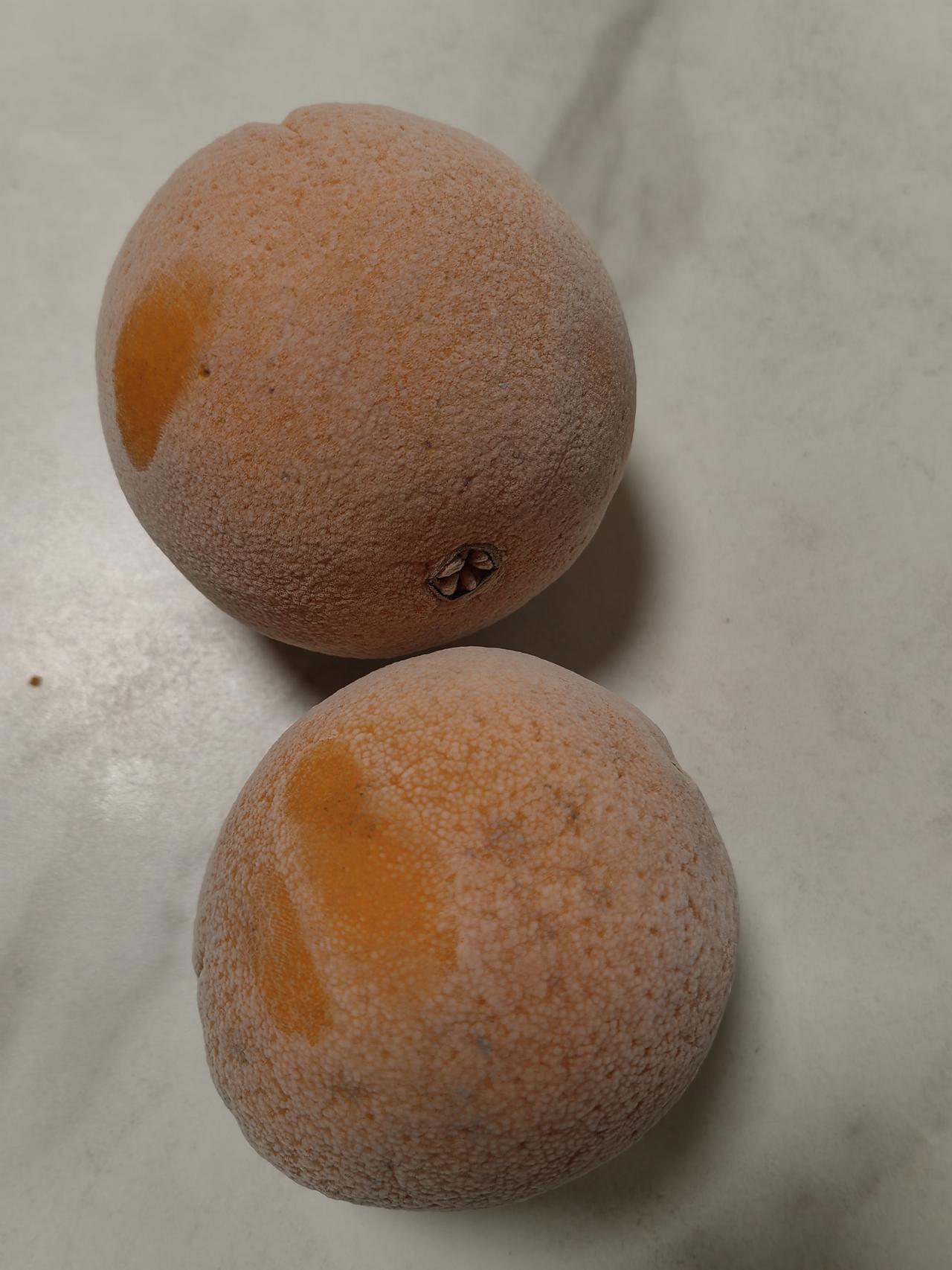 果然穷的人都是有原因的 ，见过穷的家庭对小孩别说什么托举兜底，不拖累就好。有一种