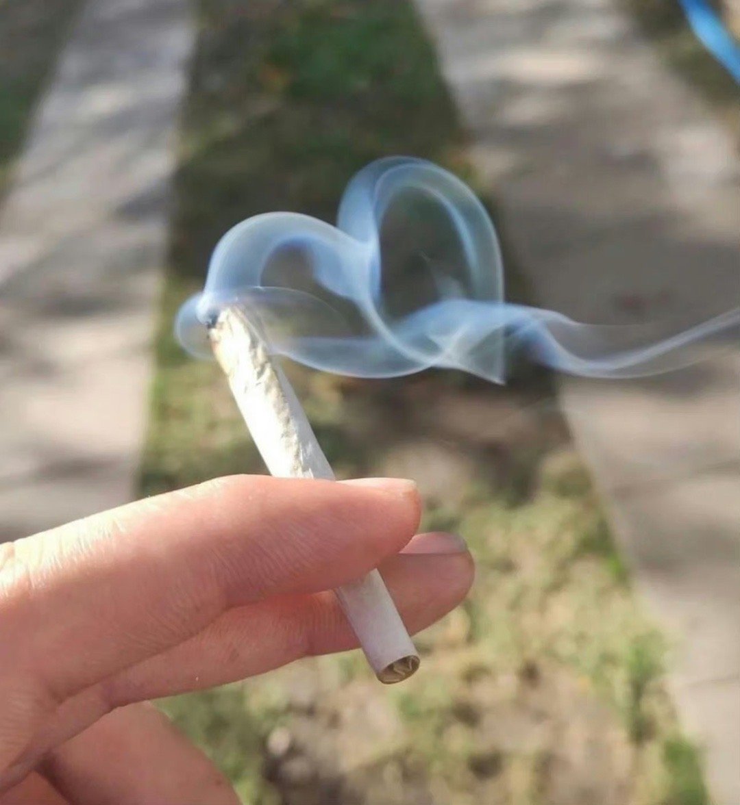 天气好热，不知不觉就变粘人了 ​​​