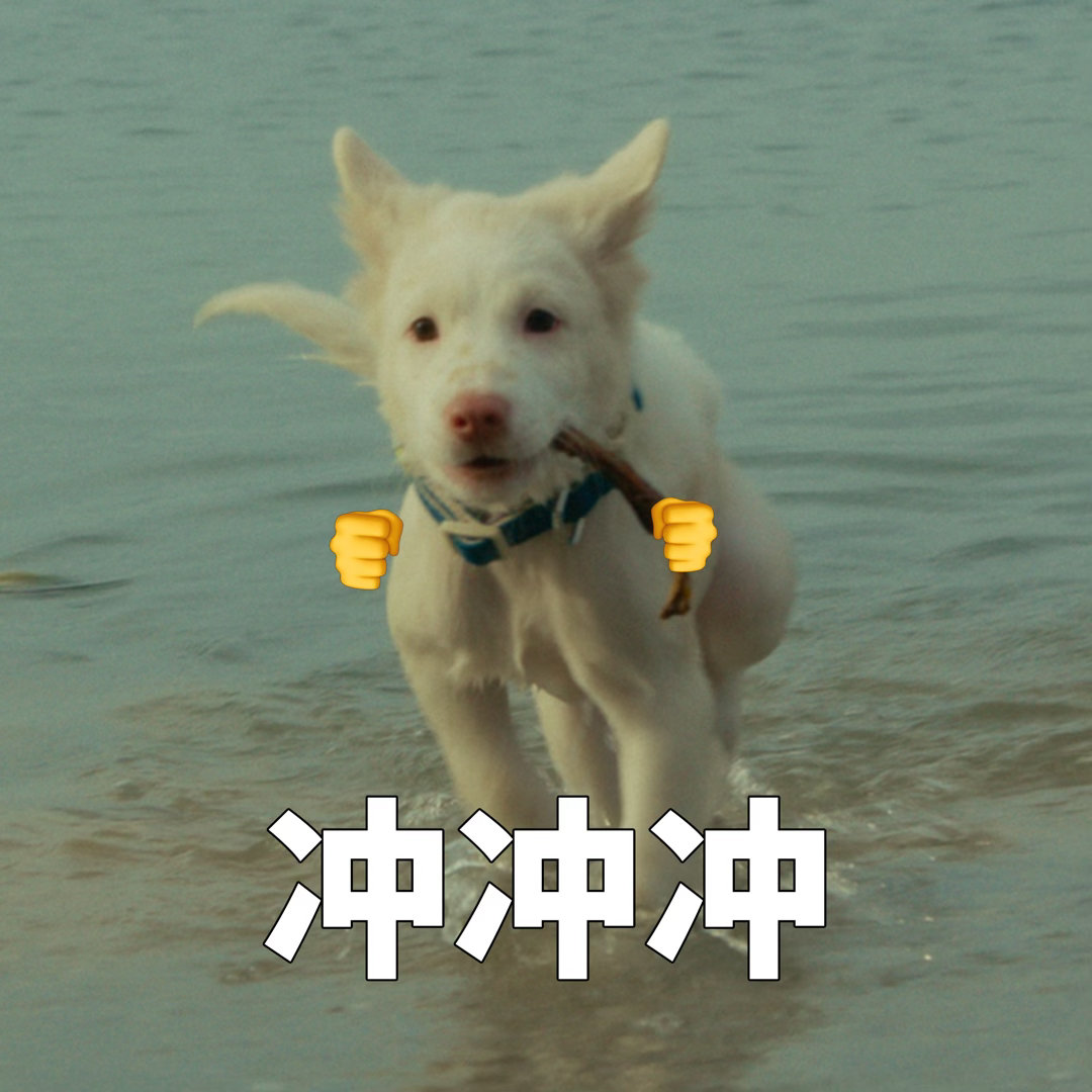 姥姥的外孙团队新作心犬相随定档 小狗真的会治愈一切。成年人的世界就算再破破烂烂，