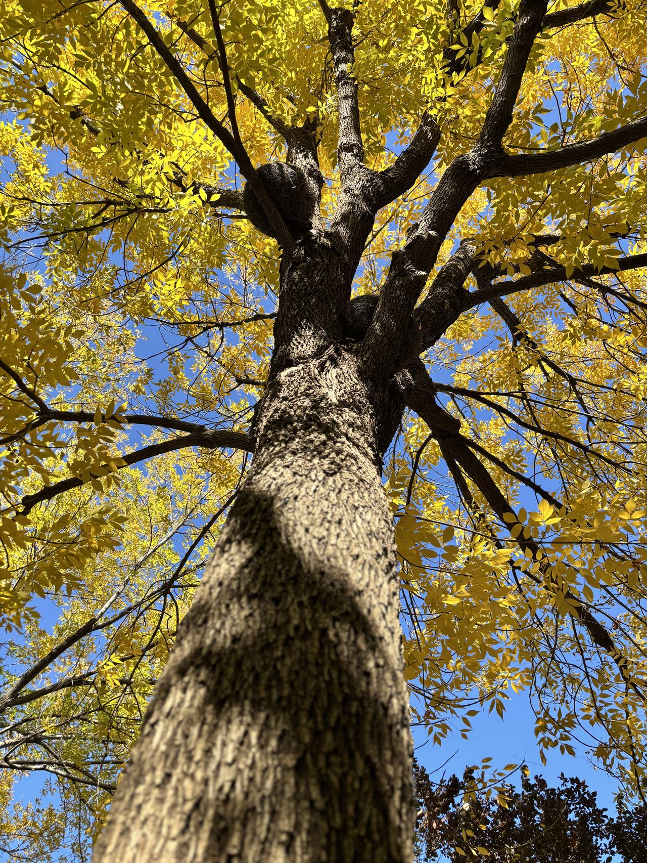 我最近视力比以前好了一点点，不知道这是不是衰老的标志。

以前的时候，左右眼视力