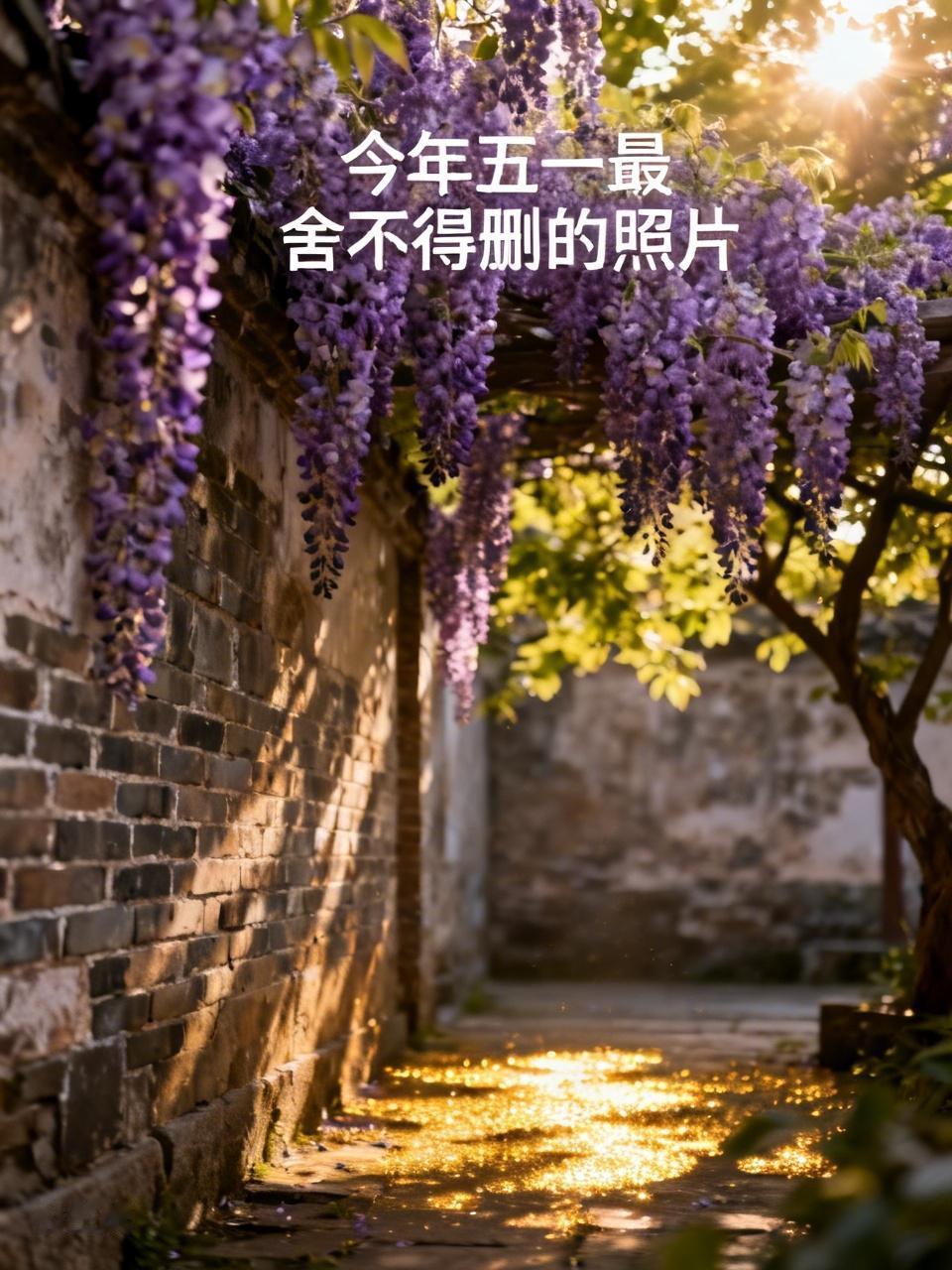 今年五一，我最舍不得删的照片是在一座老城巷子里拍的。放假前还在工位发呆，看到紫藤