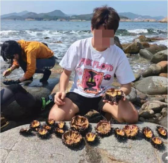 五一假期一批内地游客在香港游玩期间，做出了违背生态保护的不当举动。一行人前往西贡
