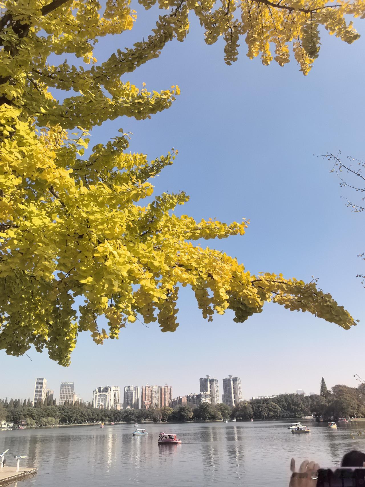 分享一张秋色的美景难道这不是一幅画吗？