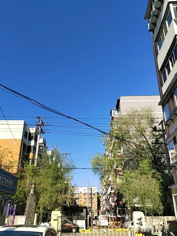 真心话茶局