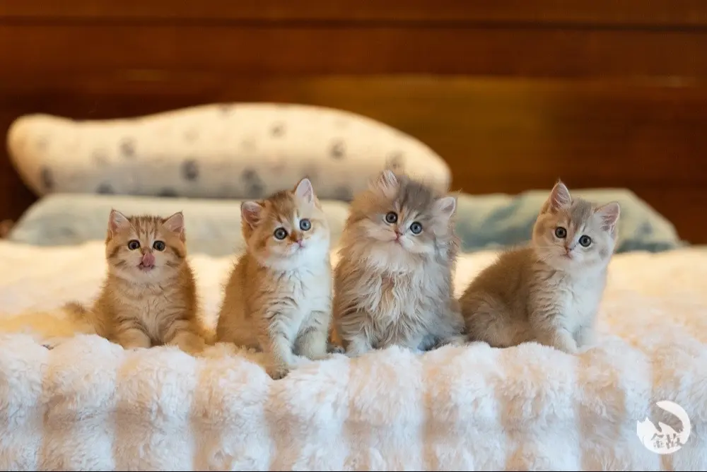 是飞飞的宝宝呀❤️