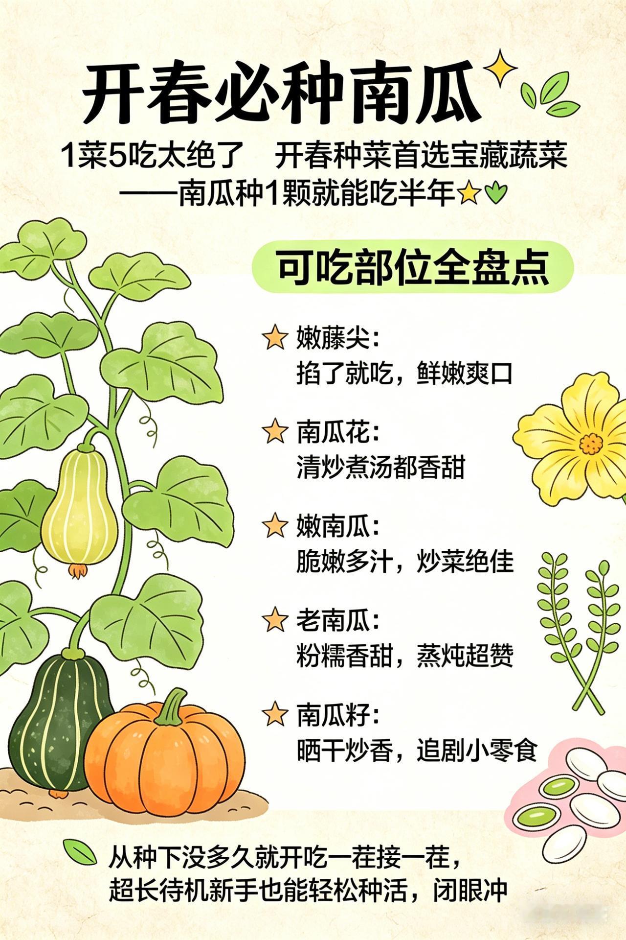 种南瓜真的那么好吗？3个好处和2个坑，看完再决定！
你是不是也听说：南瓜扔土里就