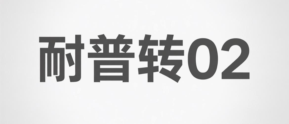 耐普转02上市价格预测：就当下周二才上市就行

转债基本情况：

发行规模：4.