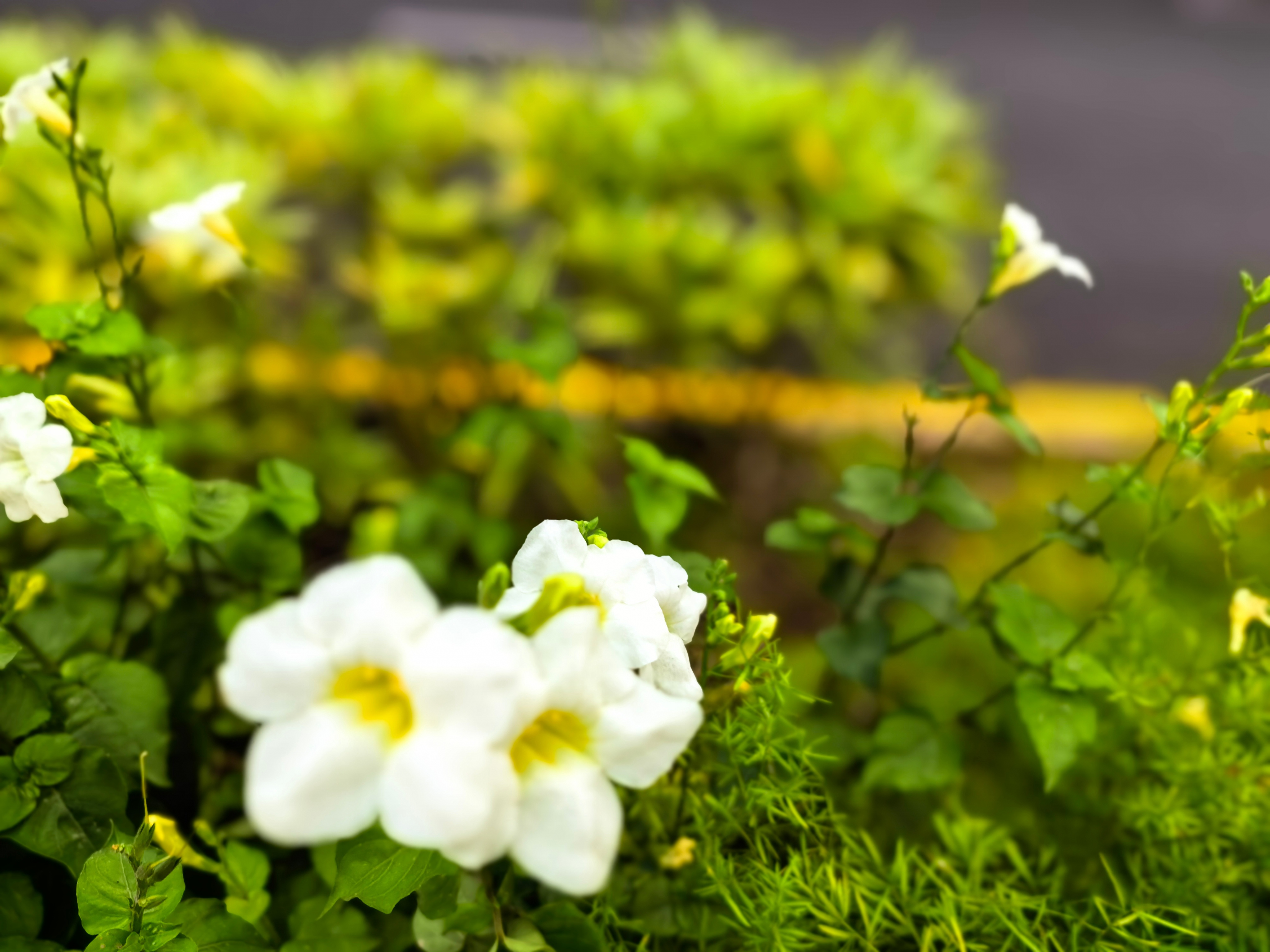 闲话投资1173孙子曰：其疾如风，其徐如林，侵掠如火，不动如山。个人随笔：1. 