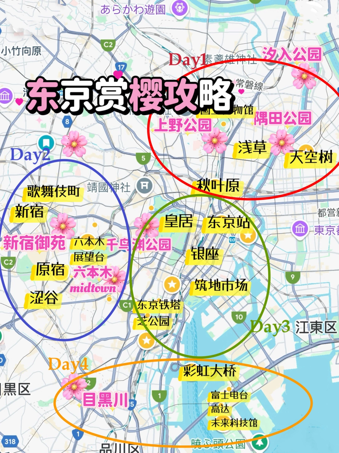 来东京赏樱花看这篇攻略就够了｜附手绘地图
