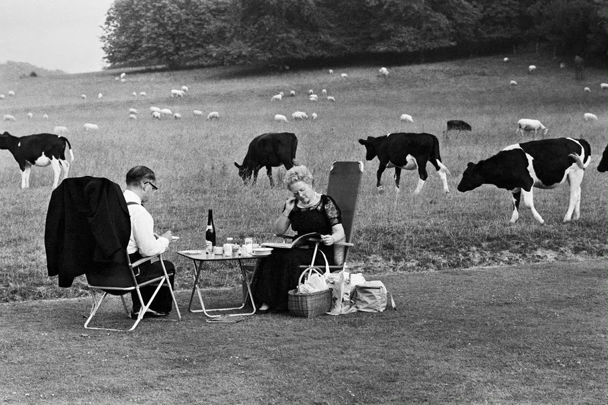 “岁月静好，现世安稳。”（胡兰成语）的“现世安稳”，出自《法华经 药草喻品》“是