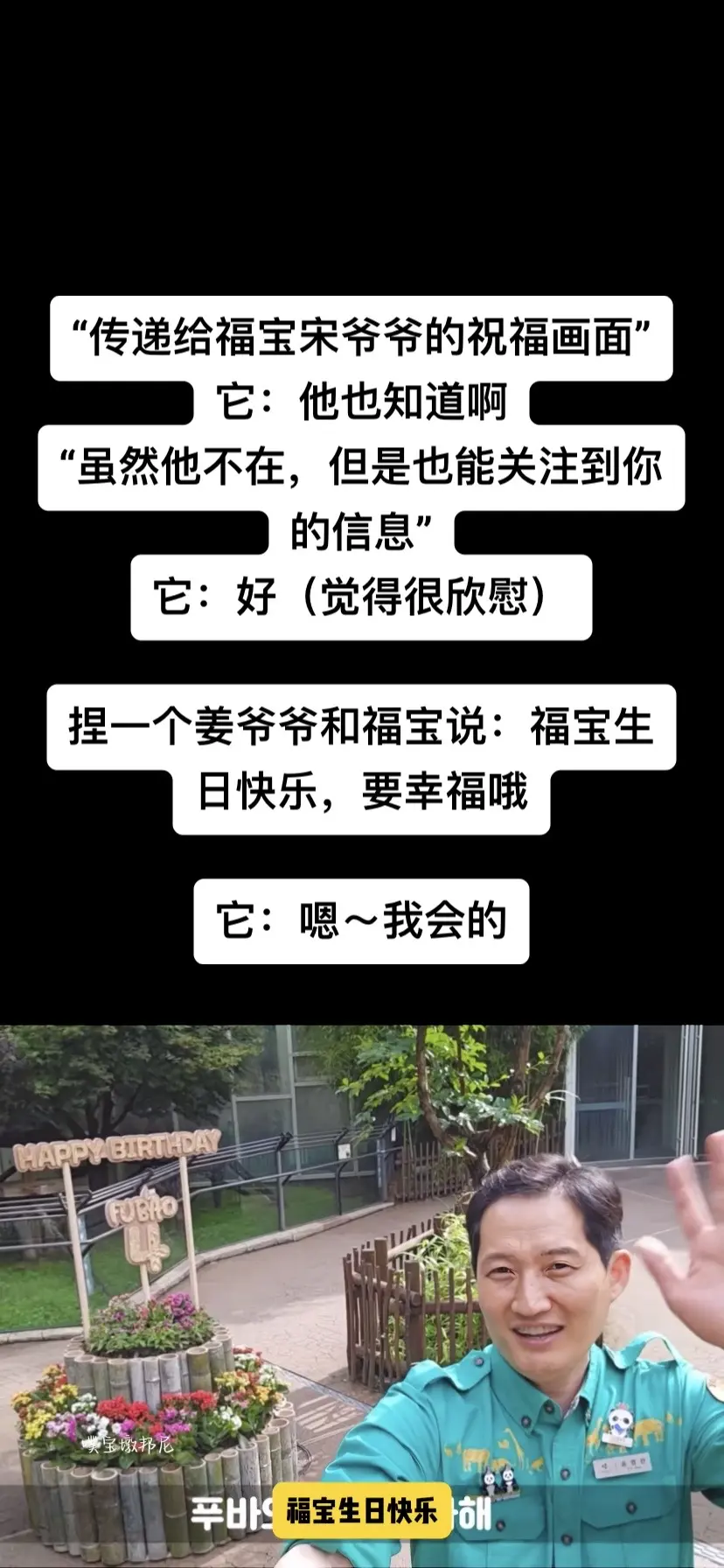 宠物沟通——福宝生日2
