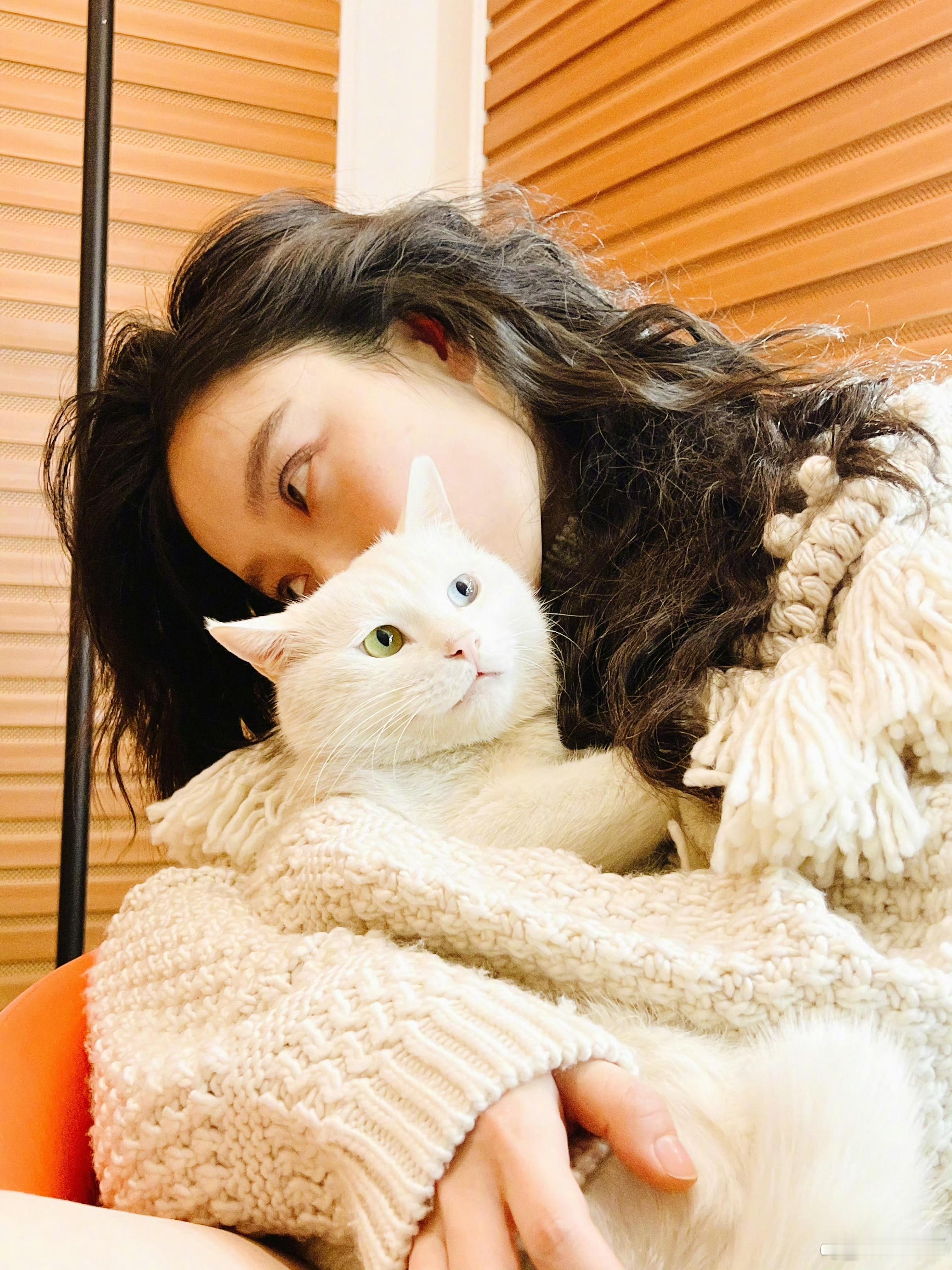 “喵总与喵”喜欢收集倪妮的吸猫时刻🐱 ​​​
