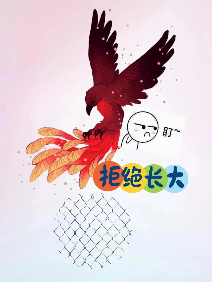 ①只大鹏展翅飞翔 表情包 一串文字 铁丝网，打一成语————
大鹏：图中我们可以