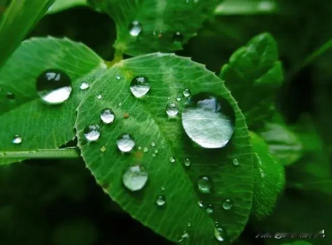我是一个比较“抠”，比较“节省”的人。

抠省到有时我家里人都看不下去了。就拿我